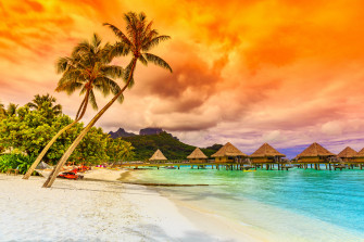 Tropical 4k Ultra HD Wallpaper