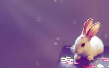 Cute Wallpaper Image