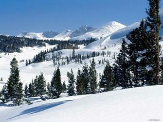 Wallpaper Nature Winter Wonderland