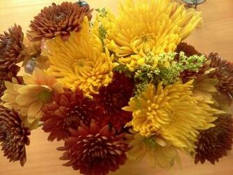 Fall Flowers