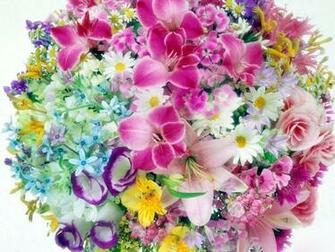 Exotic Flower Wallpaper