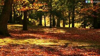 Outdoor Fall Wedding Wallpaper