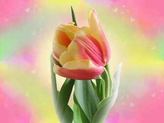 Url Bigbackground Spring Flowers Wallpaper Html