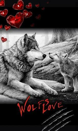 Bigger Love Wolf Best
