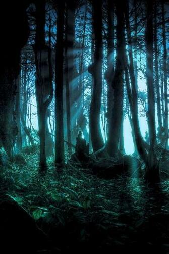 HD Mobile Phone Landscape Wallpaper