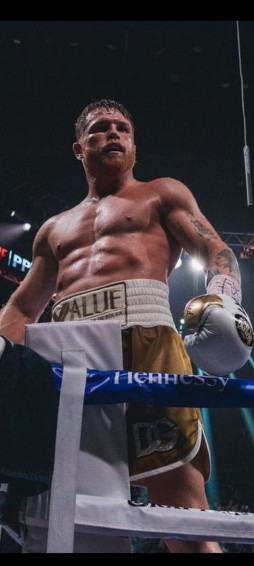 Undisputed In Boxing Image Canelo Wallpaper Ufc Fighters