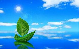 Wallpaper2 Thumb Very Beautiful Creative Design HD Wallpaper Pack