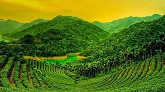 Daily Tamil Serial Desktop HD Nature Wallpaper