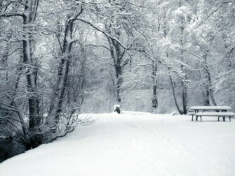 Tag Winter Background Wallpaper Photos Pictures And Image For