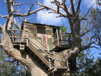 Island Treehouse Entertainment Other HD Desktop Wallpaper