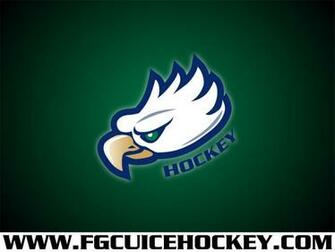 Best Florida Gulf Coast University Wallpaper