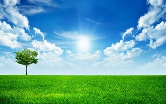 Nature Background Image6