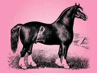 Detailed Animal Vector Artwork Of A Horse Short Breed Or Pony