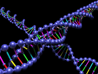 Dna Helix Wallpaper Quadruple Strains