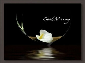 Good Morning Wallpaper Mobile