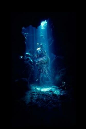 iPhone Wallpaper HD Top Best Background