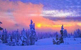 Beautiful Winter Scenery Desktop Background