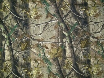 Realtree Camo Wallpaper HD Ap