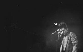Adam Lambert Wallpaper