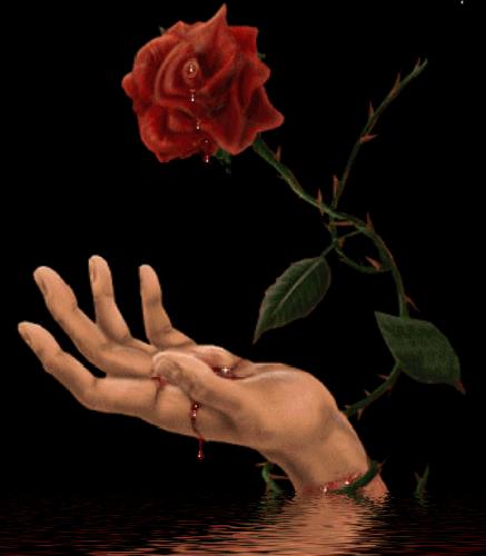 Of Water With Black Background Animated Live HD Wallpaper X