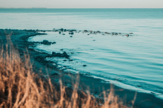 Beach Image