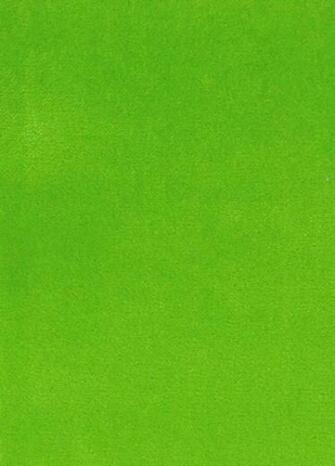 Varese Velvet Apple Green Plain Fabric