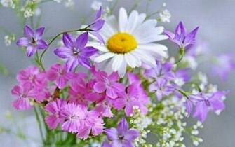 Wallpaper Lovely Flowers