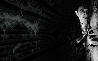 Bela Lugosi Dracula Wallpaper By Raven5677