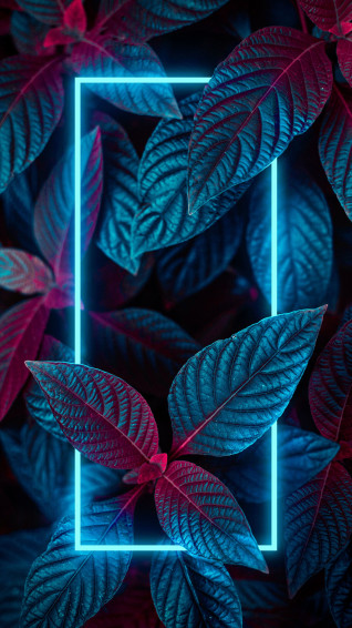 Neon Circle Nature iPhone Wallpaper