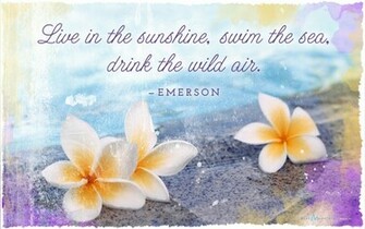 Summer Covers Wallpaper Gallery
