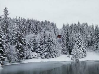Winter Snow Scene Wallpaper High Definition