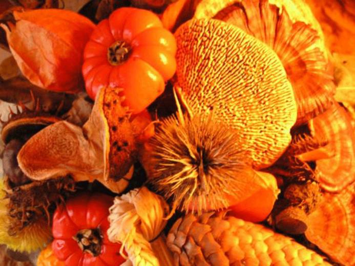 Holiday Wallpaper Thanksgiving Desktop