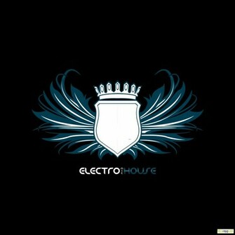 Great Electro House Track