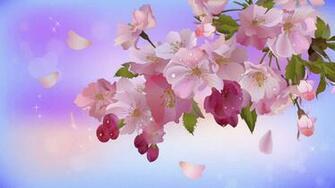 Rate Select Rating Give Apple Blossom