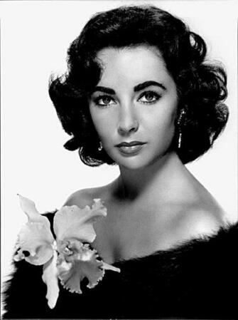 Elizabeth Taylor Wallpaper Celebrity Hq