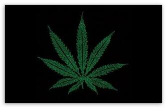 Marijuana Leaf Typography HD Wallpaper For Standard Fullscreen