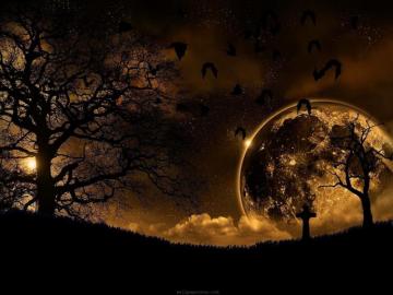 Bat Desktop Wallpaper Background New Background