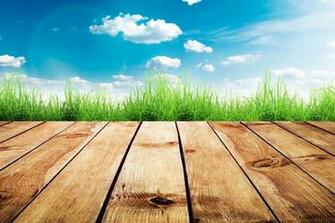 Beautiful Sunny Day Scene Wallpaper Best HD