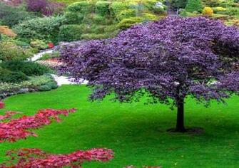 Spring Garden Desktop Wallpaper HD Background Of Your