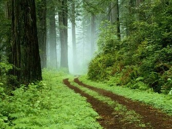 HD Desktop Background Google Wallpaper