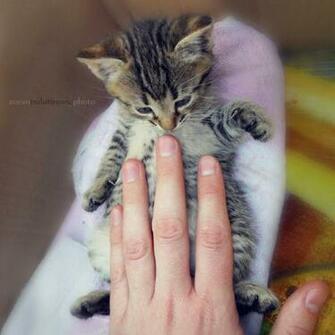 Don T Touch My Belly By Zoranphoto