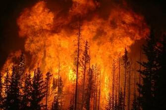 Forest Fire Wallpaper