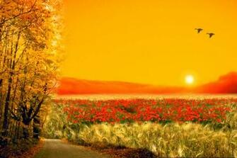 Digital Background HD Wallpaper Ezone