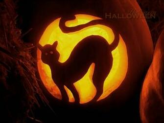 Black Cat Halloween Wallpaper