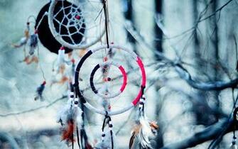 Dream Catcher Native American Artistic Indian Trees Branch Limb