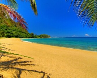 Summer Beach Scenes Wallpaper With Resolutions Pixel