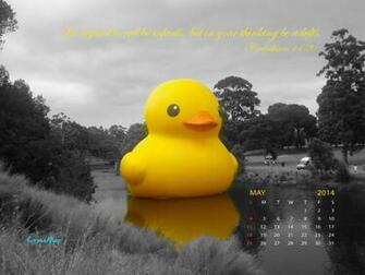 Rubber Duck Wallpaper At Wallpaperbro