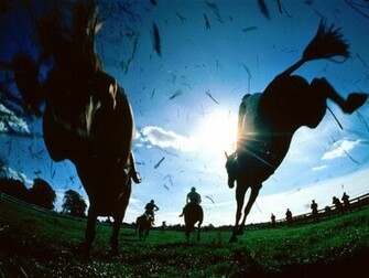 Horse Screensavers And Wallpaper Desktop Top