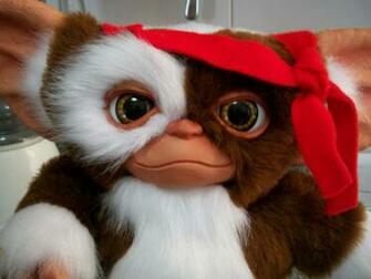 Gizmo Gremlins Wallpaper