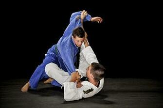 Artes Marciales Del Mundo T Cnicas De Jiu Jitsu Brasile O